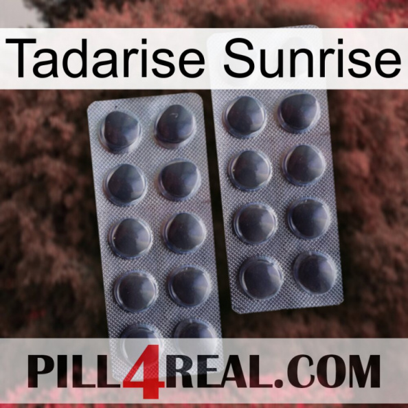 Tadarise Sunrise 31